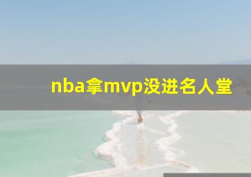 nba拿mvp没进名人堂