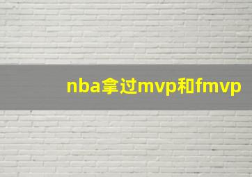 nba拿过mvp和fmvp