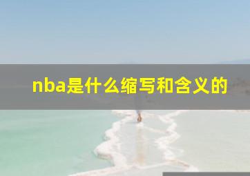 nba是什么缩写和含义的