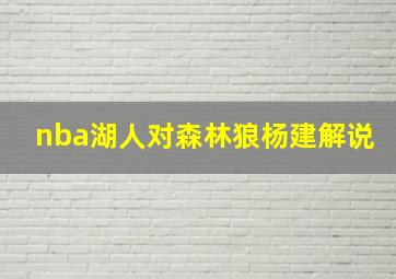 nba湖人对森林狼杨建解说