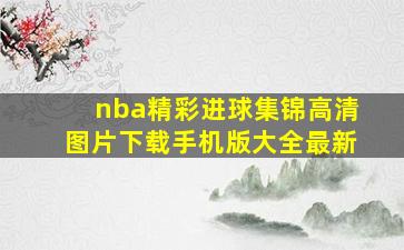 nba精彩进球集锦高清图片下载手机版大全最新