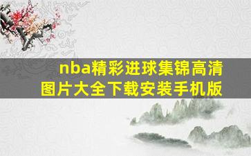 nba精彩进球集锦高清图片大全下载安装手机版