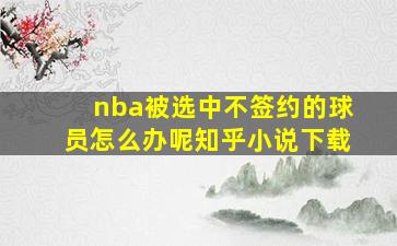 nba被选中不签约的球员怎么办呢知乎小说下载