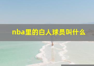 nba里的白人球员叫什么