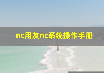 nc用友nc系统操作手册