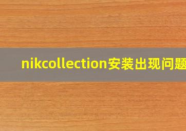 nikcollection安装出现问题