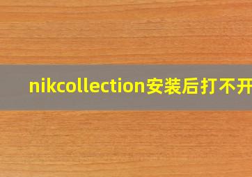 nikcollection安装后打不开