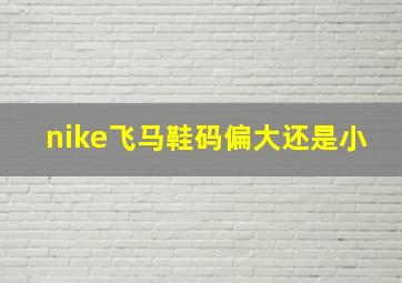 nike飞马鞋码偏大还是小