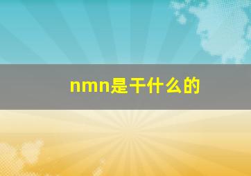 nmn是干什么的