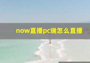 now直播pc端怎么直播