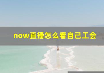 now直播怎么看自己工会