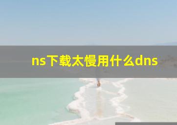 ns下载太慢用什么dns