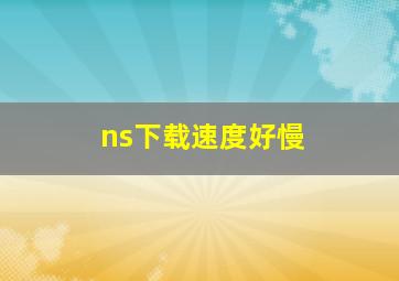 ns下载速度好慢