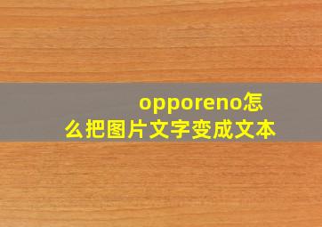 opporeno怎么把图片文字变成文本