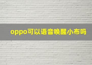 oppo可以语音唤醒小布吗