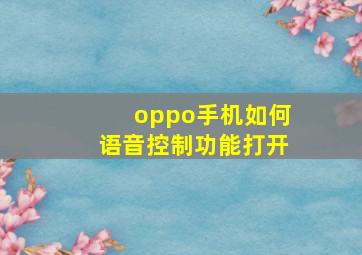 oppo手机如何语音控制功能打开