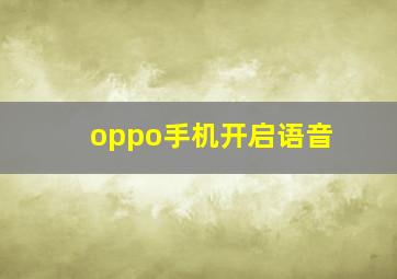 oppo手机开启语音