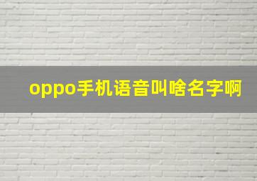 oppo手机语音叫啥名字啊