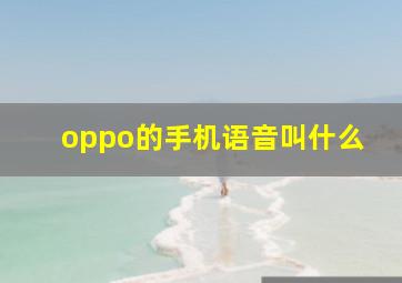 oppo的手机语音叫什么