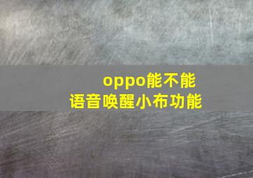 oppo能不能语音唤醒小布功能