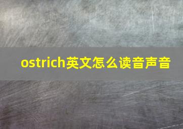 ostrich英文怎么读音声音