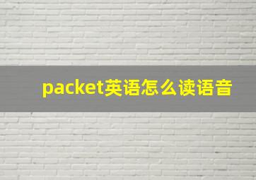 packet英语怎么读语音