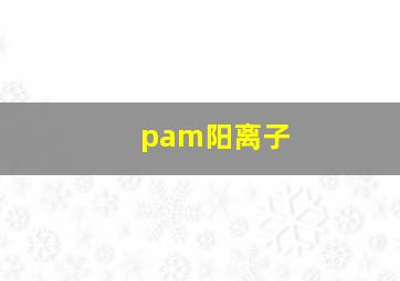 pam阳离子