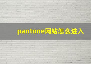 pantone网站怎么进入