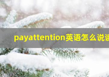 payattention英语怎么说读