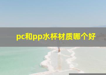 pc和pp水杯材质哪个好