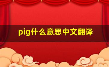 pig什么意思中文翻译