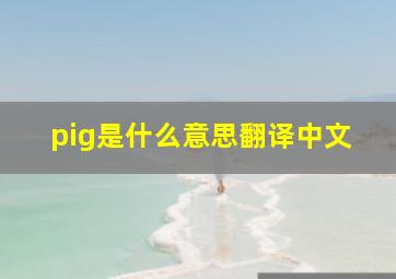 pig是什么意思翻译中文