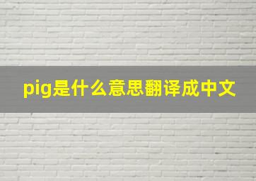 pig是什么意思翻译成中文