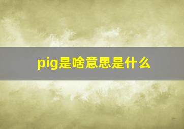 pig是啥意思是什么