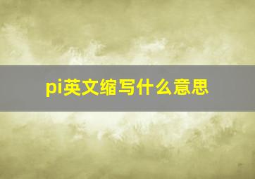 pi英文缩写什么意思