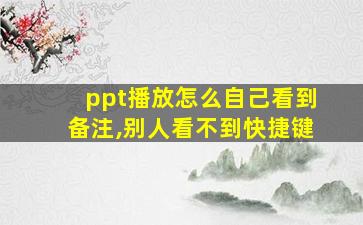 ppt播放怎么自己看到备注,别人看不到快捷键