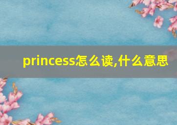 princess怎么读,什么意思