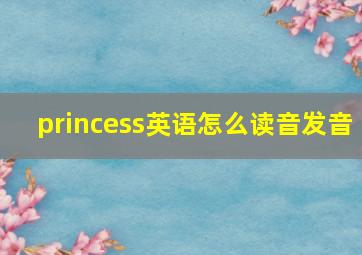 princess英语怎么读音发音