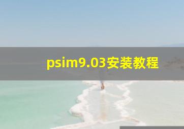 psim9.03安装教程