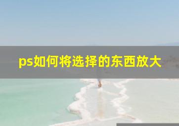 ps如何将选择的东西放大