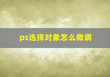 ps选择对象怎么微调