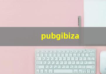 pubgibiza