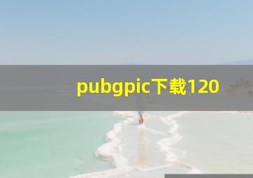 pubgpic下载120