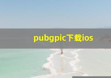 pubgpic下载ios