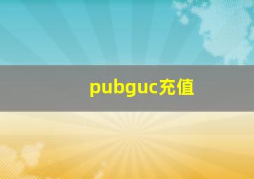 pubguc充值