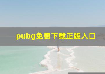 pubg免费下载正版入口