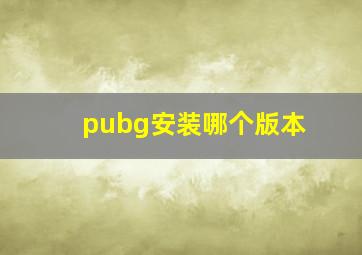 pubg安装哪个版本