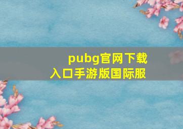 pubg官网下载入口手游版国际服