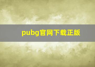 pubg官网下载正版