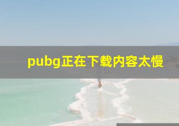 pubg正在下载内容太慢